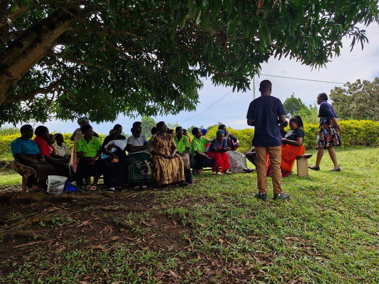 Community members gathered under a mango tree during a project training session in Uganda